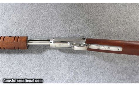 Taurus ~ Model 172 Stainless Pump Action Carbine ~ 17 Hmr