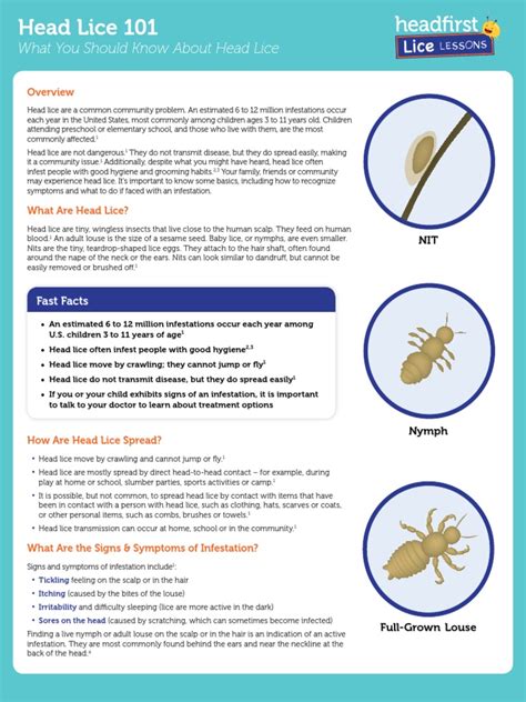 Head Lice 101 For Parents Health Sciences Wellness