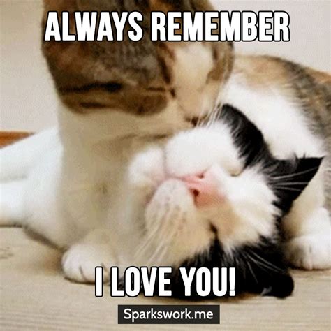 Yes Meow I Love You Too Cute Animal Quotes Love Memes