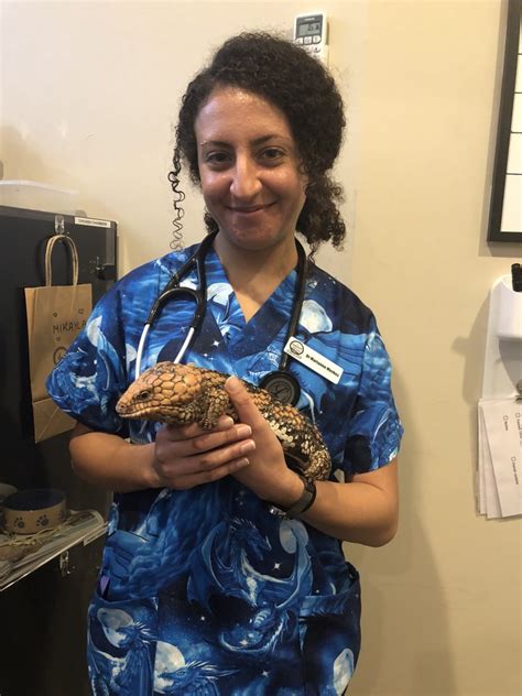 Dr Marianne Morkos The Unusual Pet Vets