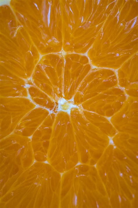 Close Up Photo Of Orange Fruit Photo Free Image On Unsplash