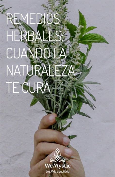 Remedios Herbales Cuando La Naturaleza Te Cura Wemystic Remedios