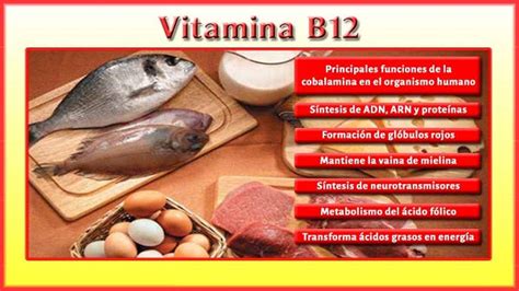 Los Beneficios De La Vitamina B12 Dietetica Ferrer