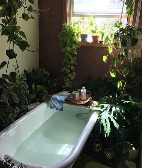 34 Beautiful Green Aesthetic Plant Ideas For Bathroom