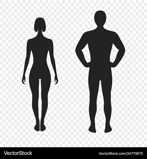 Human Silhouettes Full Face Royalty Free Vector Image