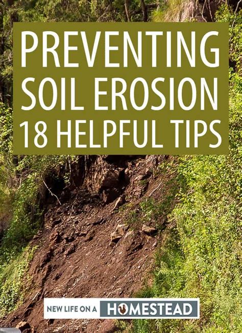Soil Erosion Literally Means You Ll Have Less Land On Your Homestead Or