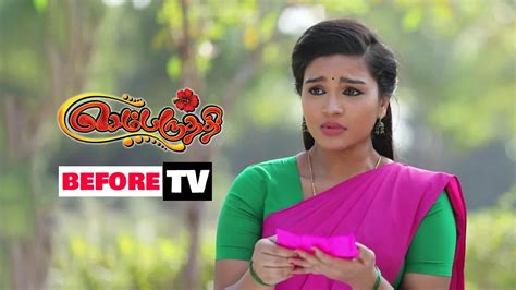 Watch Sembaruthi Tv Serial 23rd January 2019 Full Episode 381 Online On Zee5
