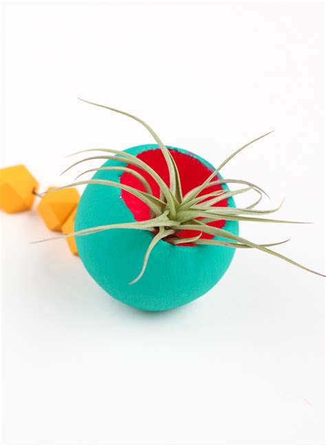 With this easy project, you can upcycle eggshells into charming holders. DIY Hanging Air Plant Holder - The Crafted Life