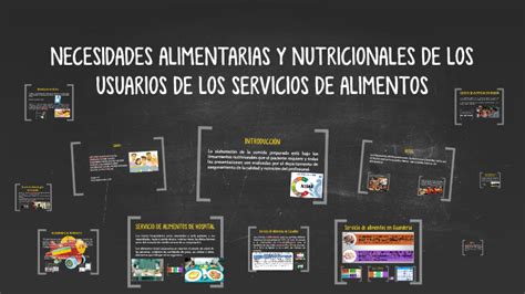 Necesidades Alimentarias Y Nutricionales De Los Usuarios De By Ixchel