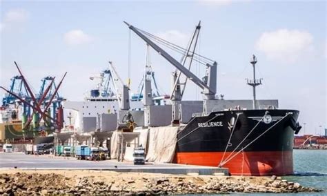 ميناء الإسكندرية يشهد انتظام حركة الملاحة و تداول البضائع الأسبوع