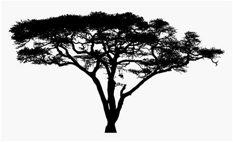 Clipart Silhouette Big Image Acacia Tree Logo Png Transparent Png