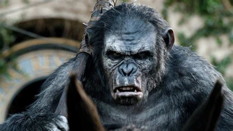 The Story So Far War For The Planet Of The Apes National News