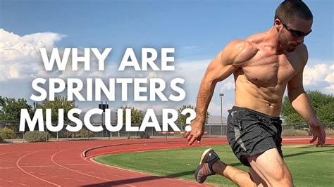 Sprinter Muscles Why Are Sprinters So Muscular Rathletex