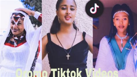 Sirba Afaan Oromoo Haaraa 2023 Oromo Music Oromotiktok Youtube
