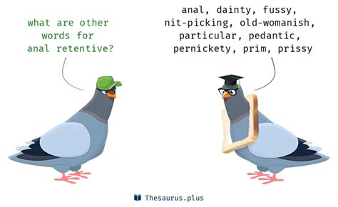 more 60 anal retentive synonyms similar words for anal retentive