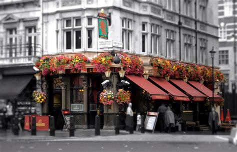 We have teams that compete in the games rainbow six siege,league of legends. Red Lion Westminster, London Pub opening times and reviews