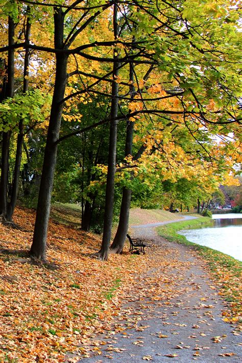 peak leaf peeping season is the perfect time to visit albany county learn about the top spots
