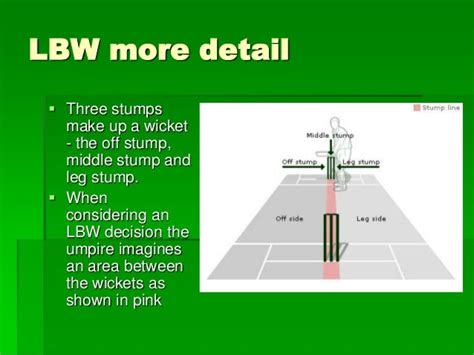 Understand Cricket