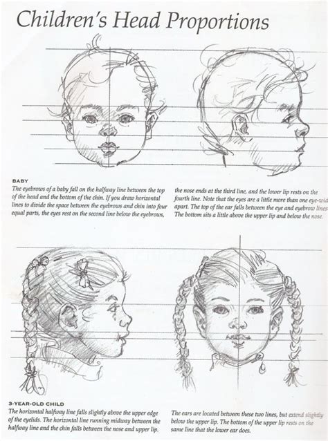 Proportions Of Children Infant And Baby Heads Reference Sheets How