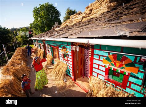 Indian Woman In Front Of His Tipycal Kumaoni House Where A Bunch Of Wheat Is Drying In The Sun