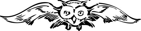 Owl clipart harry potter, Owl harry potter Transparent FREE for
