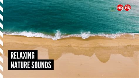 Relaxing Music With Nature Sounds Of Ocean Waves And Seagulls