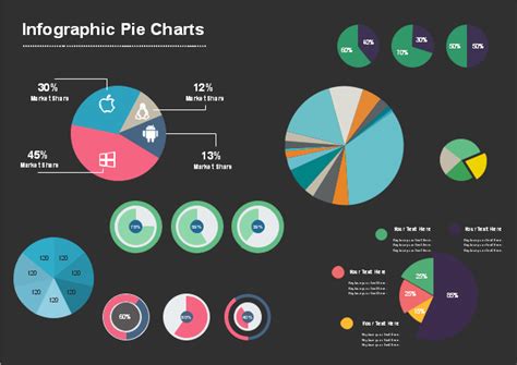 Infographic Pie Chart Royalty Free Vector Image