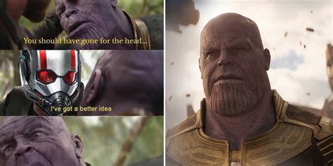 Marvel 10 Hilarious Antman Vs Thanos Memes You Need To See