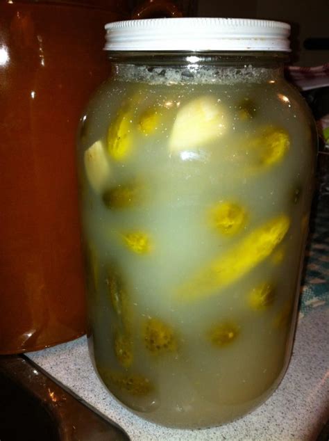 Just made my first batch of pickles…success! Naturally fermented pickles - Vinegar Free - SERAPHINA CAPRANOS