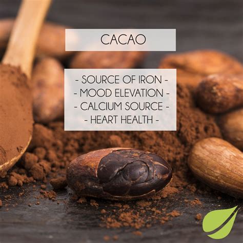 Product Spotlight Cacao Nubeleaf Cacao Cacao Benefits Cacao Fruit