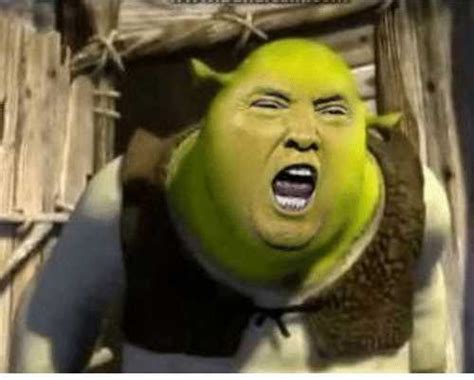 Shrek Meme Face Vobss