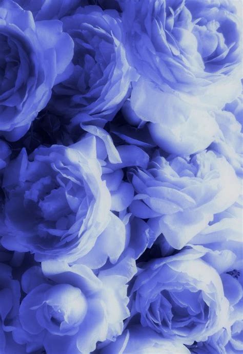 Periwinkle Color Aesthetic Background