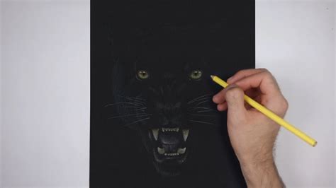 Realistic Black Panther Animal Drawing