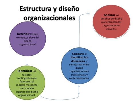 Ejemplos De Estructuras Organizacionales