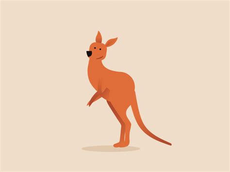 Professor Kangaroo By Qais Sarhan On Dribbble