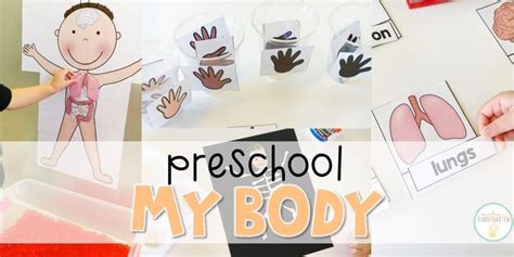 Preschool My Body Mrs Plemons Kindergarten