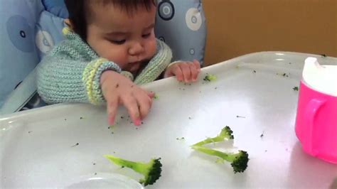 They have the dexterity to pick the food up and release it or. Mani's first finger food: broccoli! - YouTube