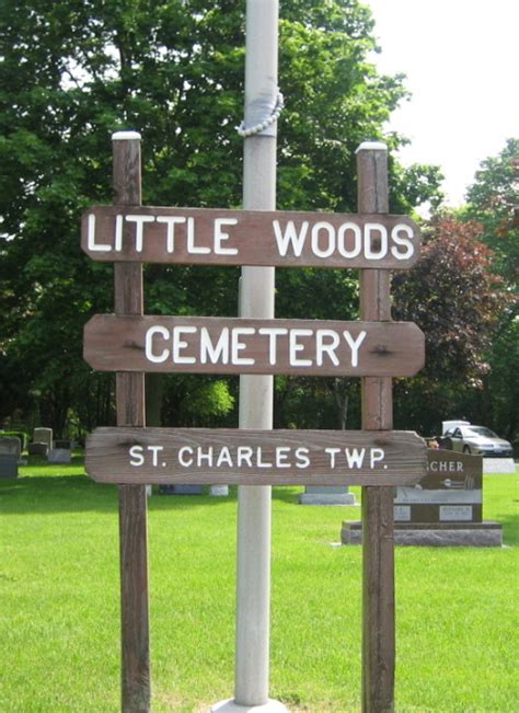 Little Woods Cemetery In Saint Charles Illinois Find A Grave Cemetery