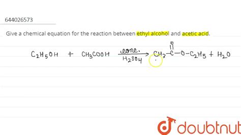 Give A Chemical Equation For The Reaction Between Ethyl Alcohol And