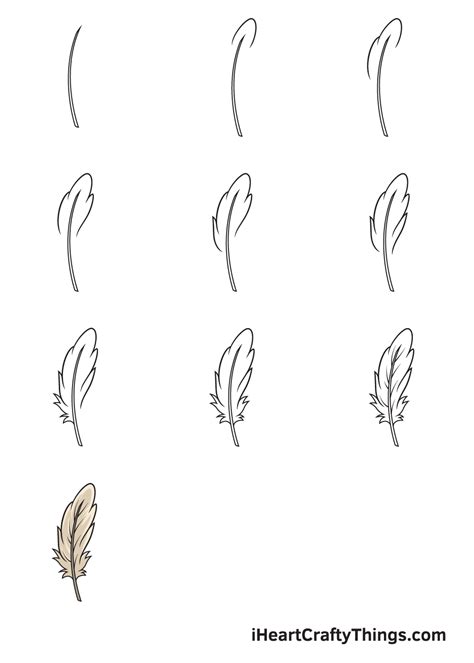 Feather Drawing How To Draw A Feather Step By Step