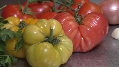 Tomatomania Offers Tips Tricks To Growing Varieties Of Tomatoes
