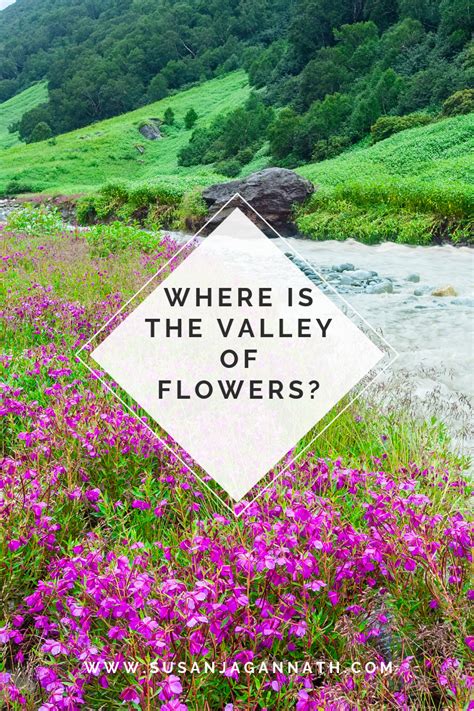Where Is The Valley Of Flowers Susan Jagannath