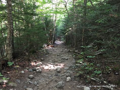 Mt Willard Crafword Notch State Park Nh 52wav Hiking Conditions