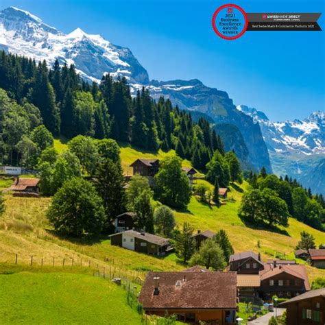Do You Know That Wengen Village Is Only Accessible By Train 😍🚂🚆 One