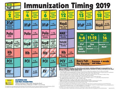 2019 Cdc Immunization Schedule Diagram Quizlet