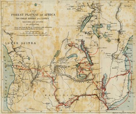 Forest Plateau Of Africa Map Africa • Mappery