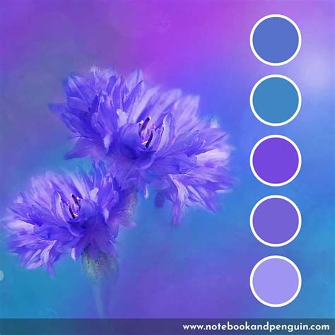 7 Beautiful Blue And Purple Color Palettes With Hex Codes