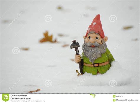 Gnome In The Snow Royalty Free Stock Photo Image 20073275