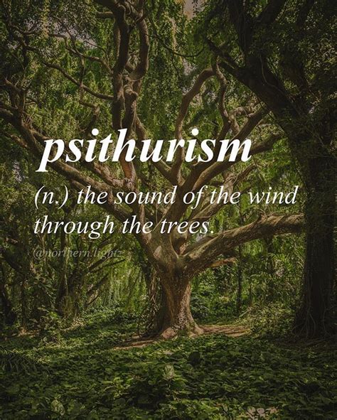 Uncommon Words And Definitions On Instagram I Love The Sound Of A Storm