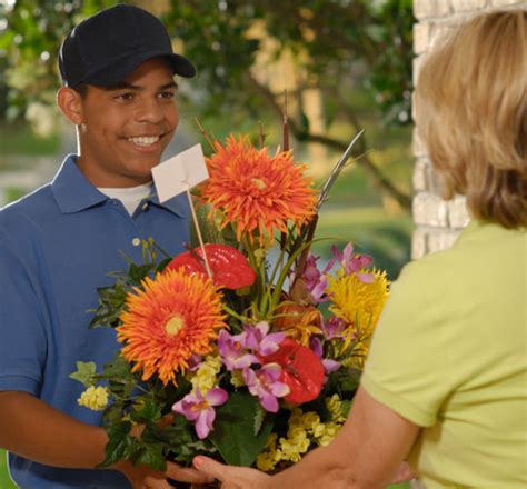 Hardy climber to 2.5m, bright yellow flowers the flowers are followed by pinnate dark green leaves on delicate arching stems. Jasmine | About Us